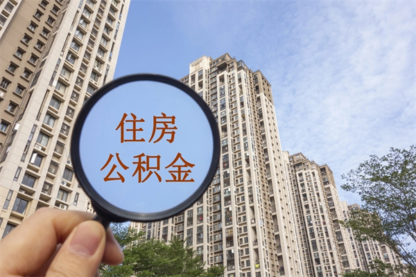 百色2025年柳州市公积金怎么领（百色柳州个人公积金提取条件）
